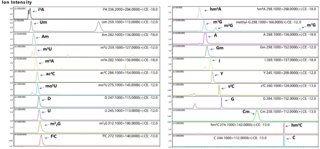 1646702698974968.png 5.png