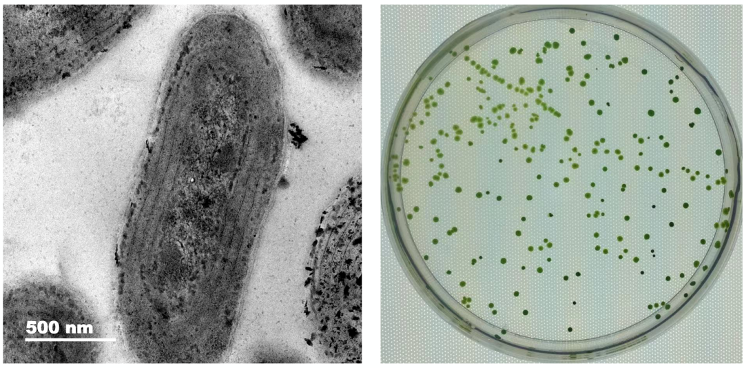 1646702720820527.png 6.png