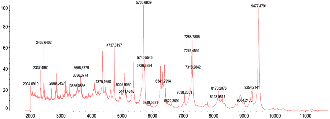 1646788893378914.png 5.png