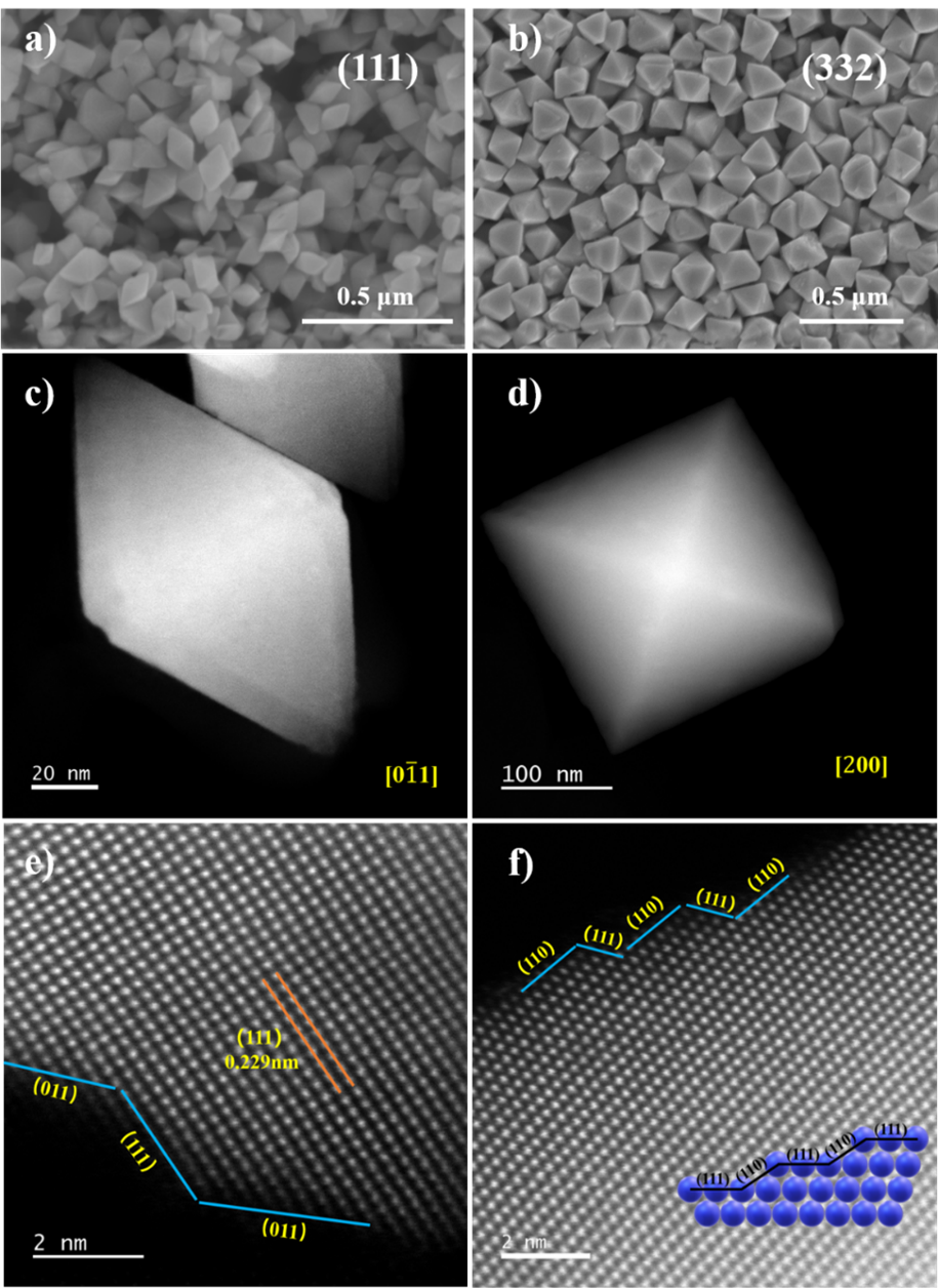 1646874502602664.png 5.png