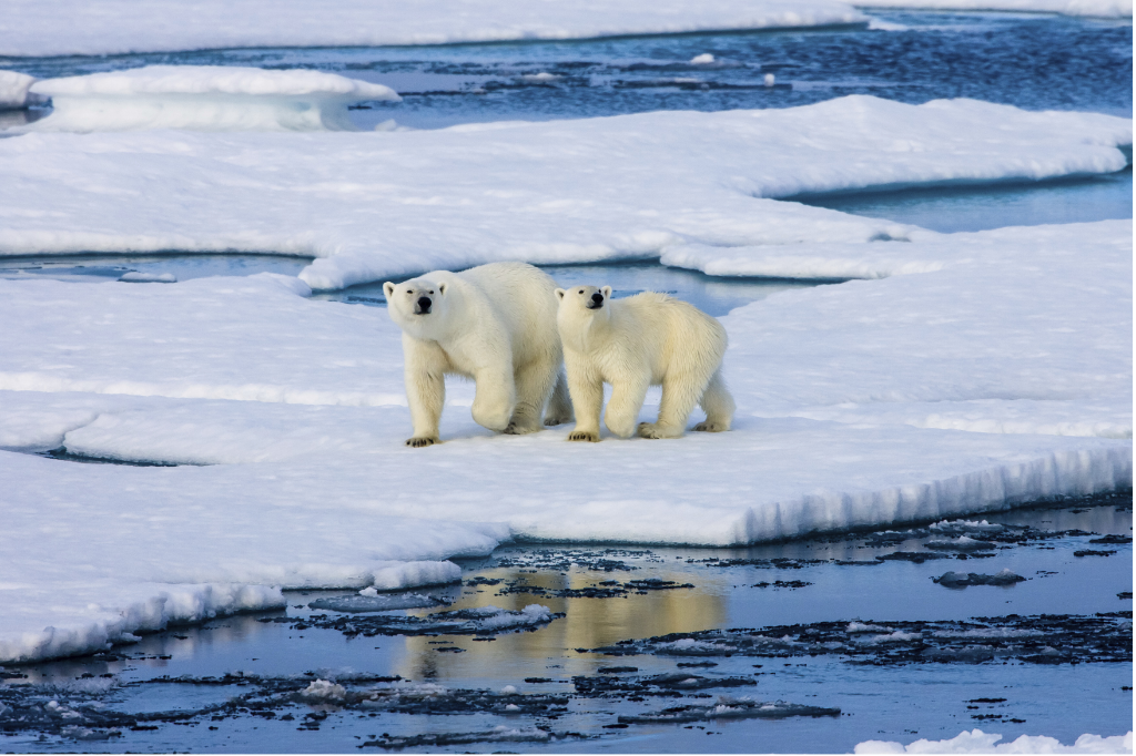 1647307991235272.png 4.png