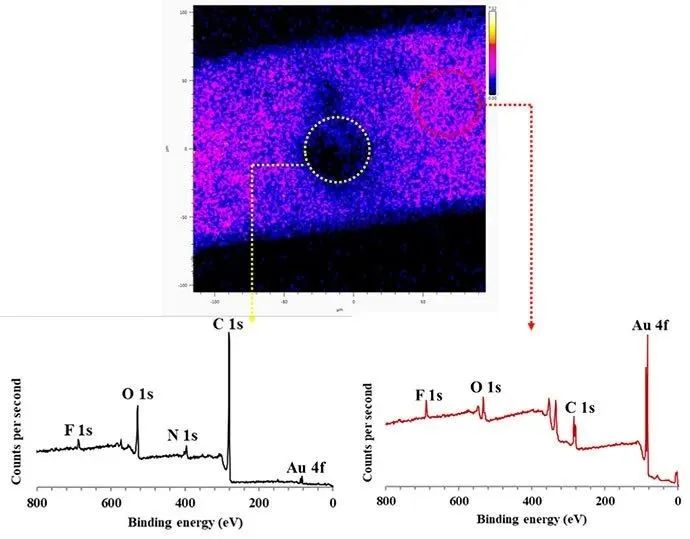 1648429824260476.jpg 7.jpg