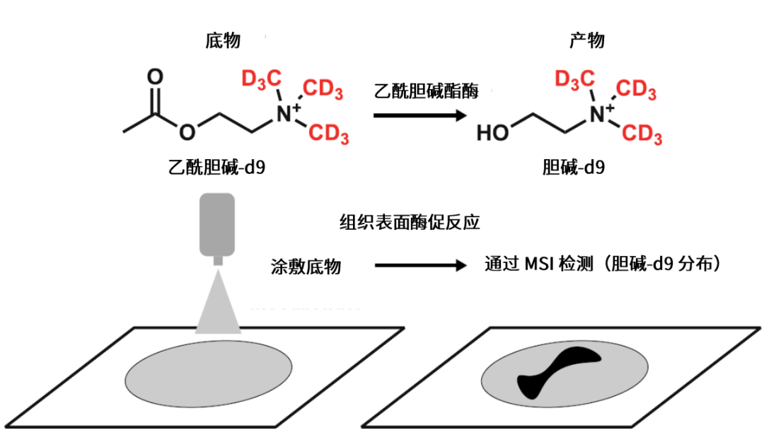 1648691961917737.png 3.png