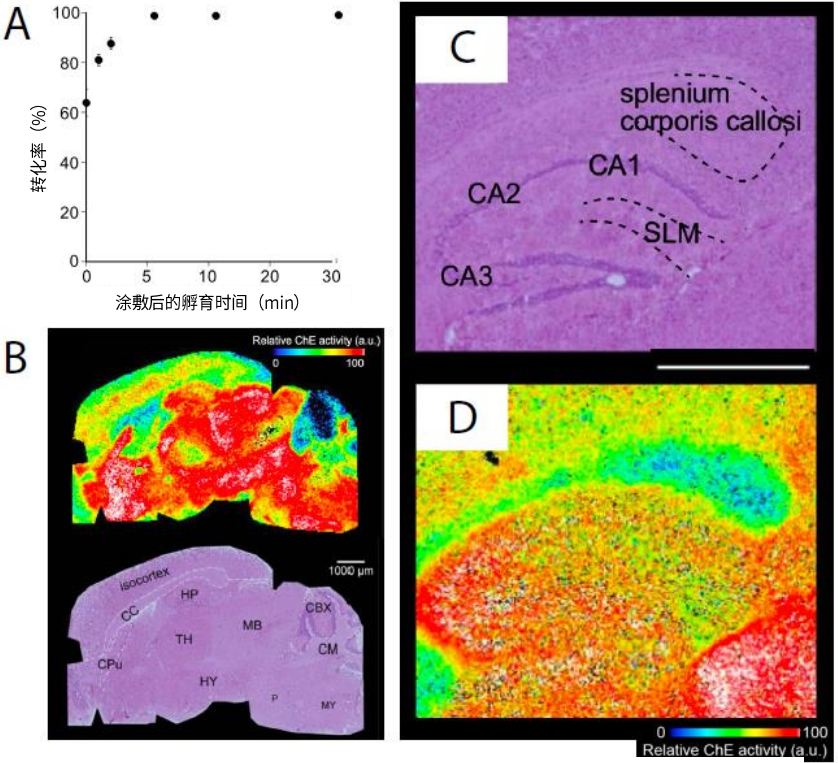 1648692079943640.png 8.png