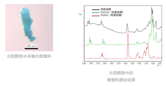 1649213821886052.jpg 3.JPG