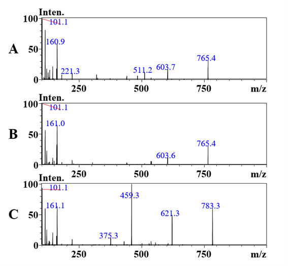 1649727279691110.png 2.png