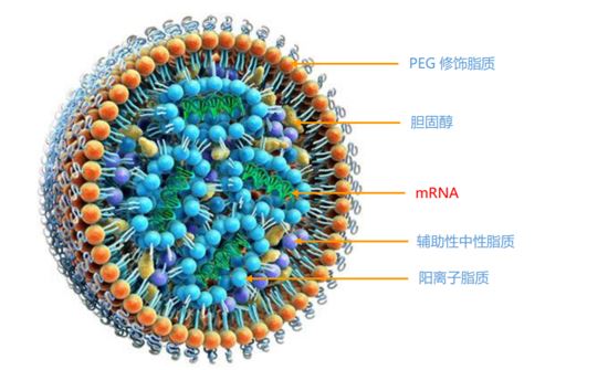 1650245120791170.jpg 捕獲.JPG