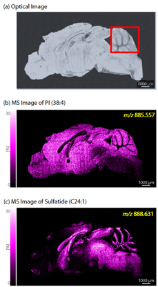 1651197689975544.jpg 4-1.jpg