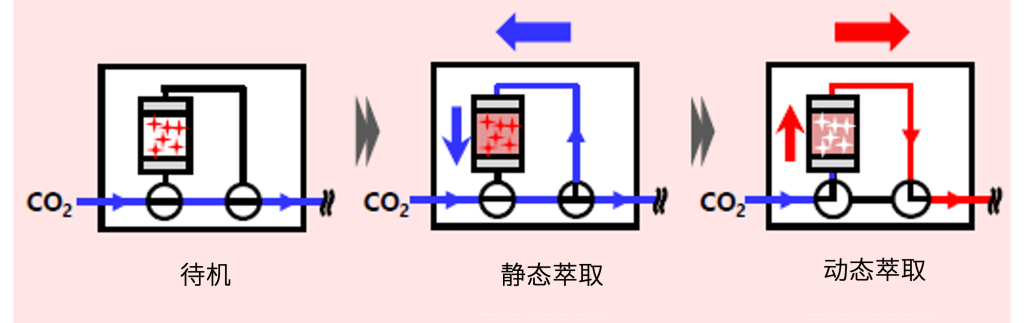 1652322425364673.jpg 3-3.jpg