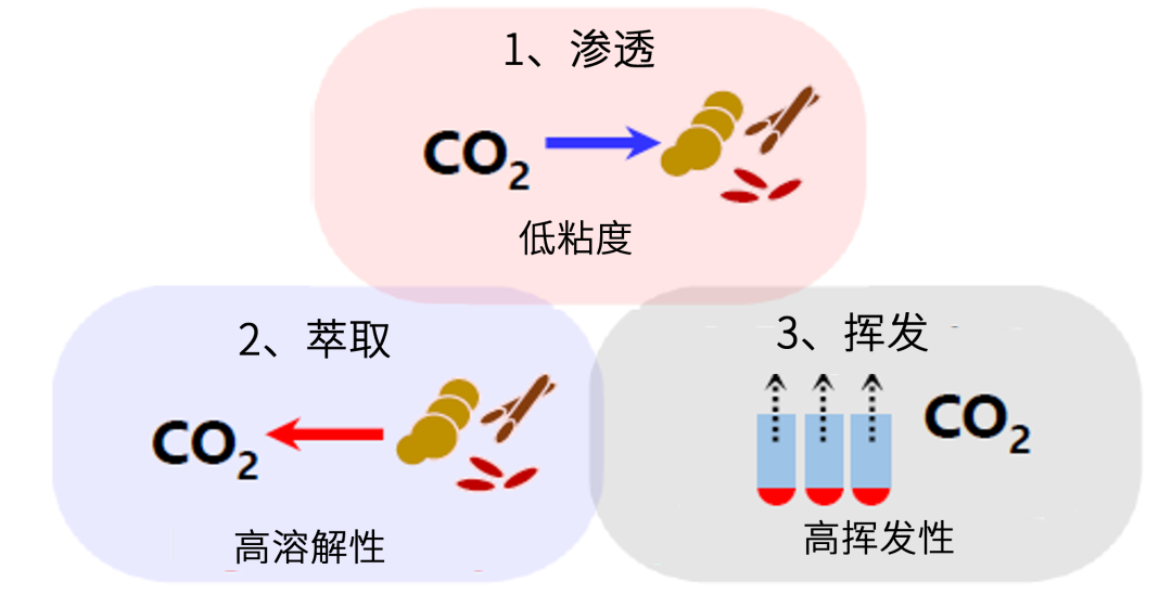 1652322459430734.jpg 5-5.jpg