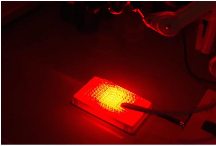 1655860558307886.jpg 2.JPG