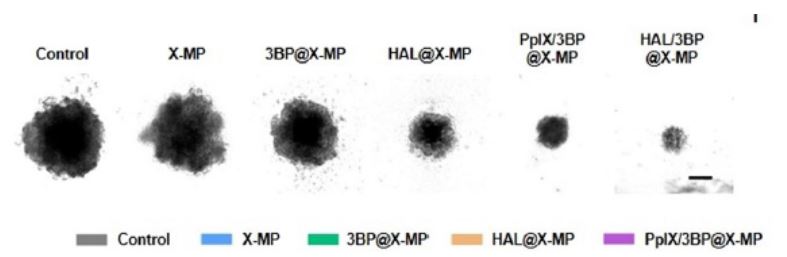 1655860588749554.jpg 3.JPG