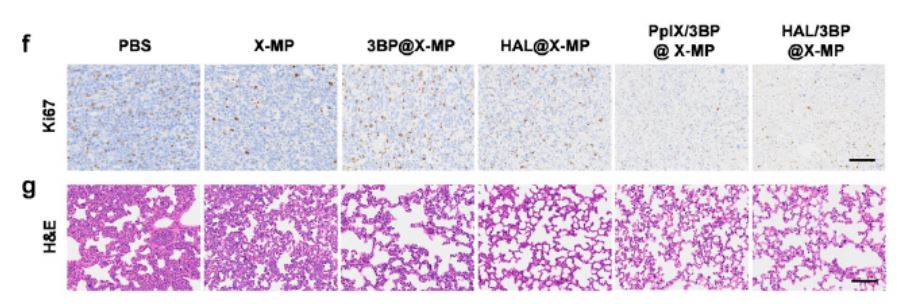 1655860610249244.jpg 4.JPG