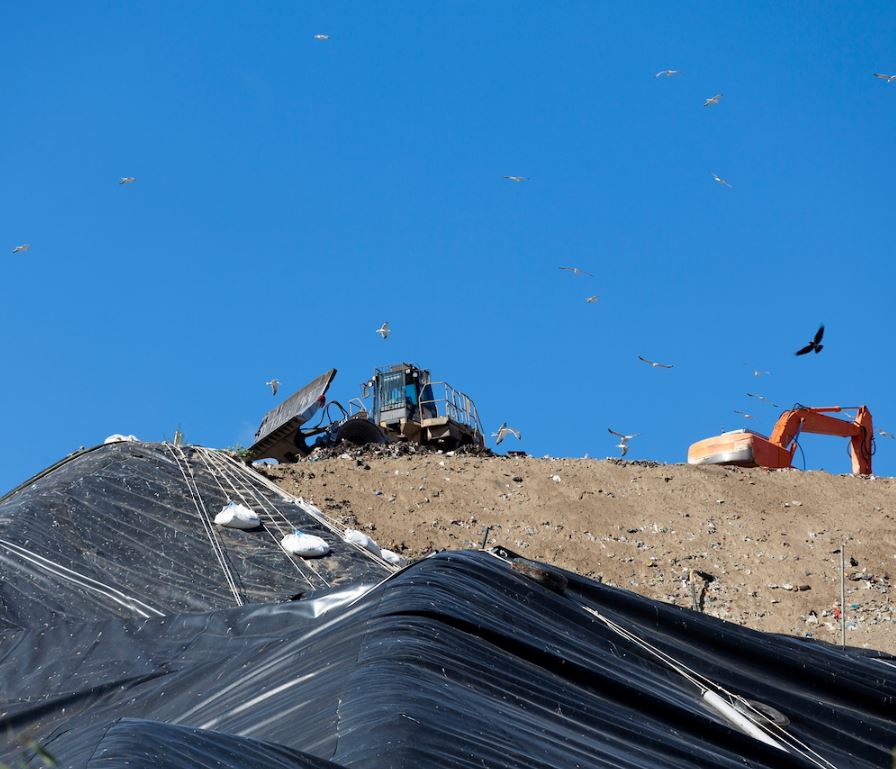 1655947433583259.jpg 3.JPG