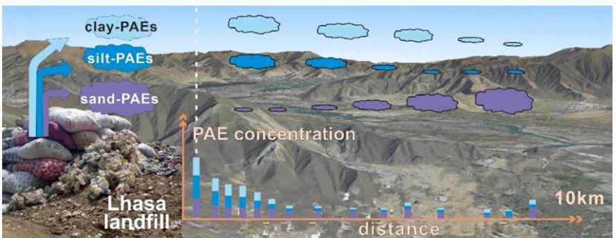 1655947514482691.jpg 6.JPG