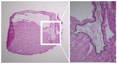 1659061721546206.png 5.png