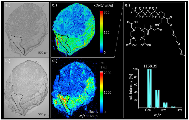 1659061731675047.png 6.png