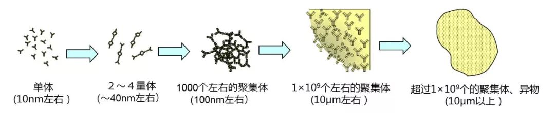 1666142510150206.jpg 2.jpg