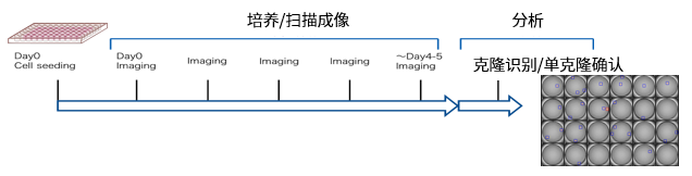 1697975633248456.png 1.png
