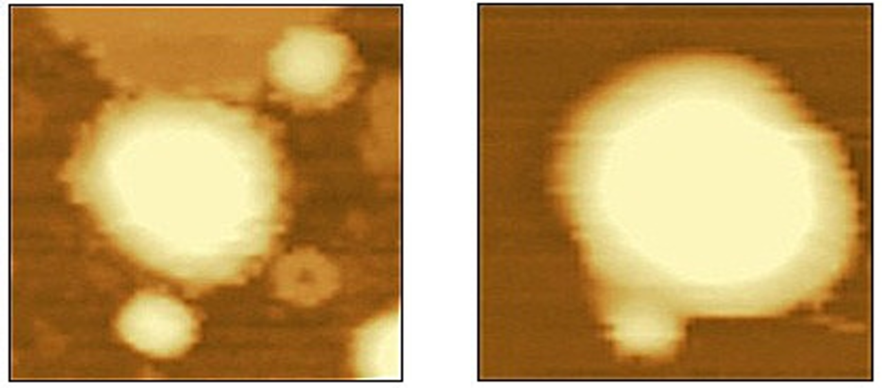 1710984995255670.png 8.png