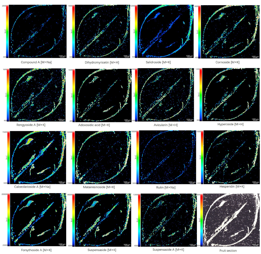 1741051133692638.png 12.png