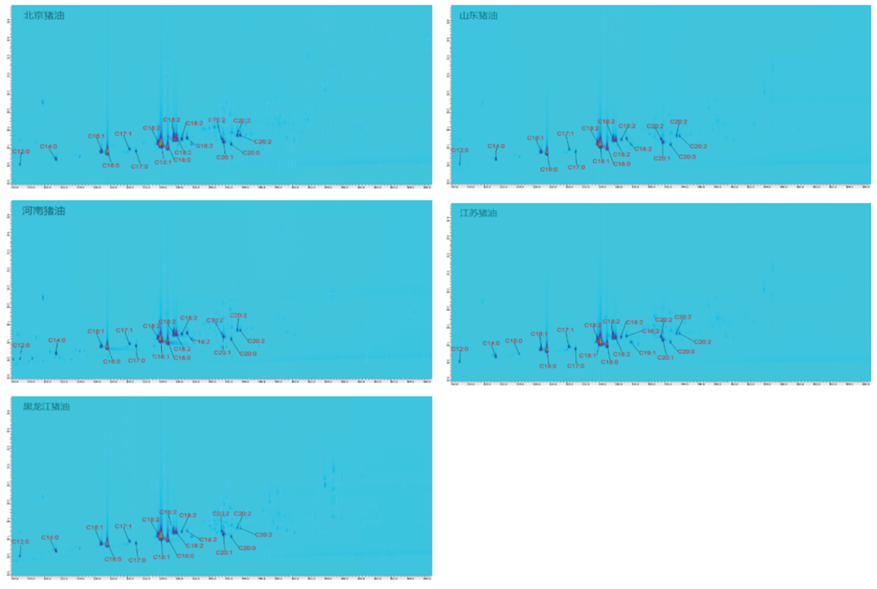 1749432519799128.png 13.png